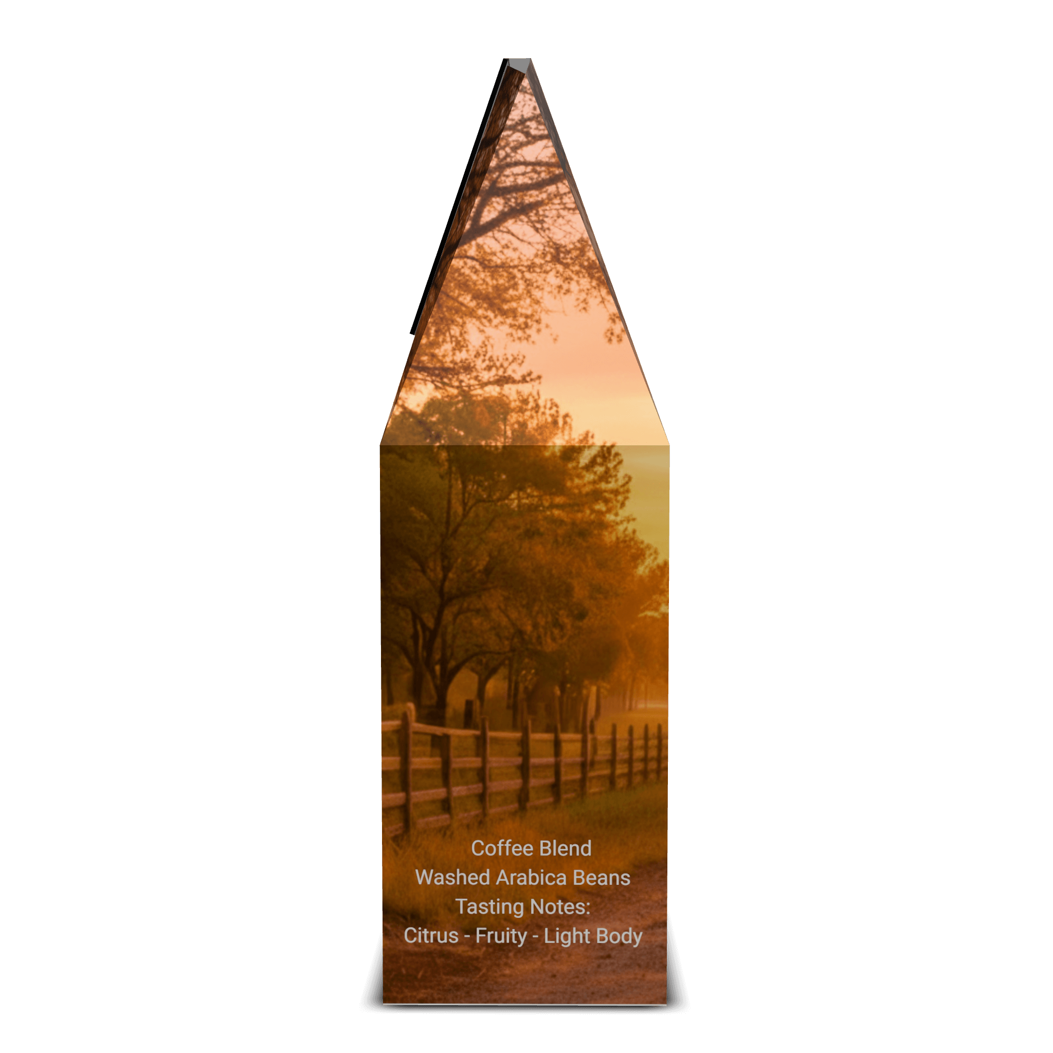 Austin Light Roast Coffee with a scenic design of trees and sunset on a black background side of package view.